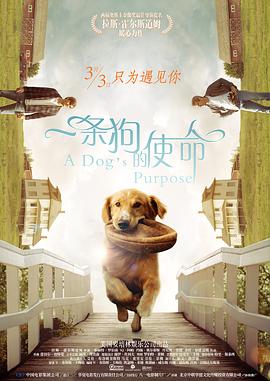 91黄色大片