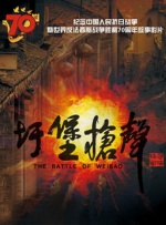 伊人激情久久综合中文字幕