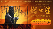 午夜国产精品视频