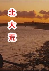 深夜老司机福利