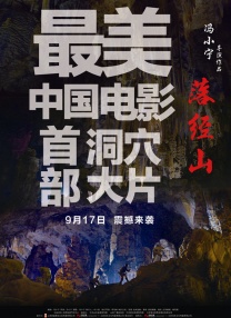 一本大道加勒比久久综合