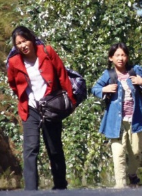 精品国产免费人成在线观看