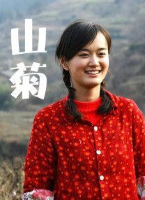 中文字幕日韩在线观看